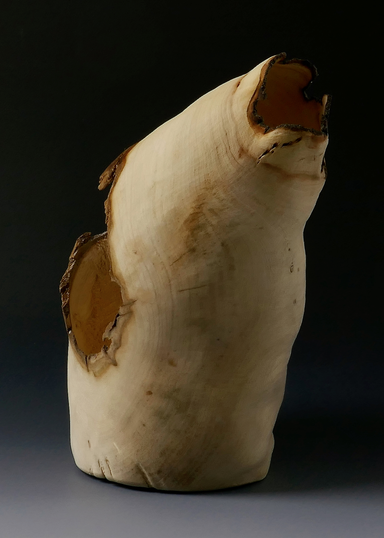 Hurler à la lune